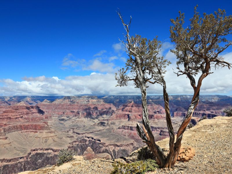 Examining Tolleson Through Facts and Statistics Is It a Nice Place To