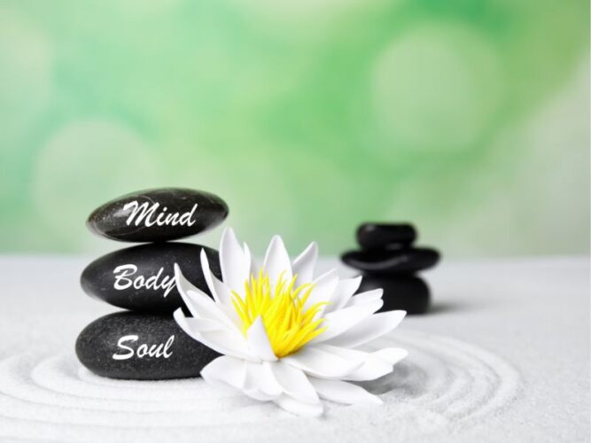 Prioritizing Your Health and Wellness: A Holistic Approach