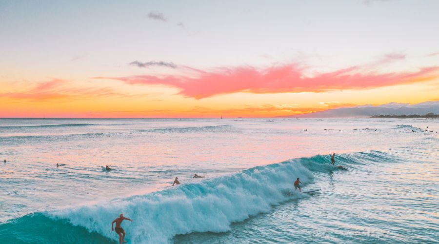 Essential Ocean Activities to Check Off Your Bucket List The Velvet