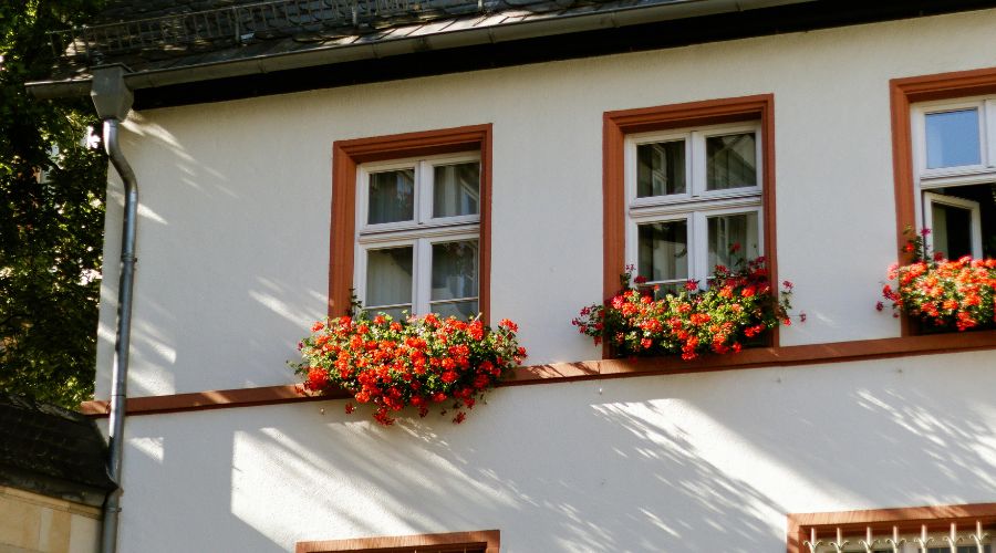 Muntins: Design Inspiration and Practical Applications for Modern Homes ...